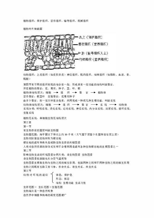 七上生物濟南版基礎知識總結