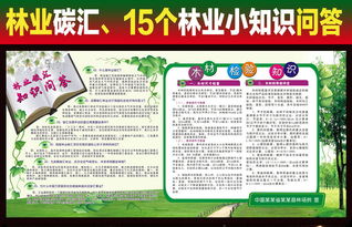 林業(yè)碳匯基礎知識問(wèn)答