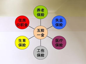 社會(huì )保險,基礎知識