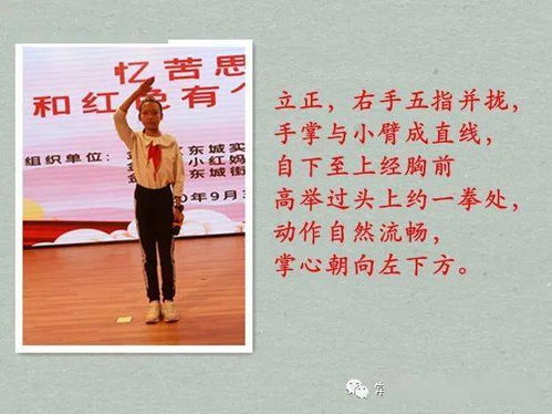 少先隊基礎知識和隊禮儀訓練