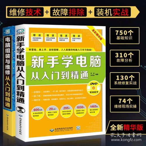 基礎知識,學(xué)電腦,新手
