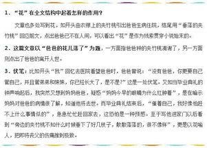 初一語(yǔ)文上冊基礎知識大全書(shū)多少錢(qián)一本,初一語(yǔ)文基礎知識大全匯總,初一語(yǔ)文上冊基礎知識訓練