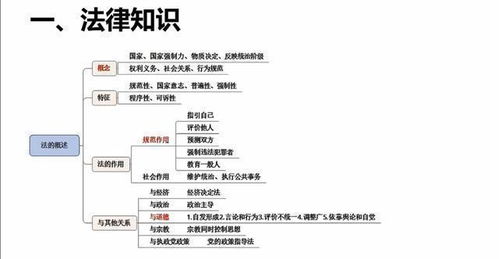 事業(yè)單位管理基礎知識與解析