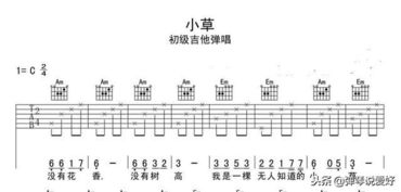 基礎知識,吉他譜
