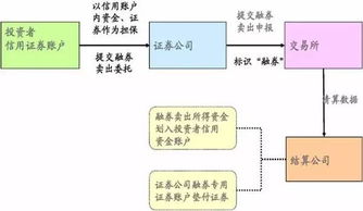 證券公司業(yè)務(wù)基礎知識