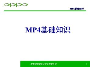 小說(shuō)基礎知識ppt