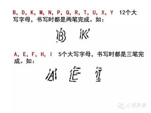 英語(yǔ)基礎知識的縮寫(xiě)字母是什么,英語(yǔ)基礎知識的縮寫(xiě),基礎知識入門(mén)縮寫(xiě)