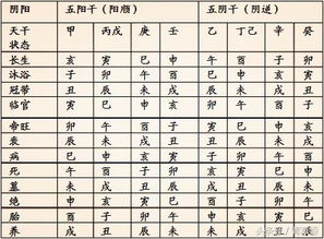 初學(xué)八字基礎知識(一)