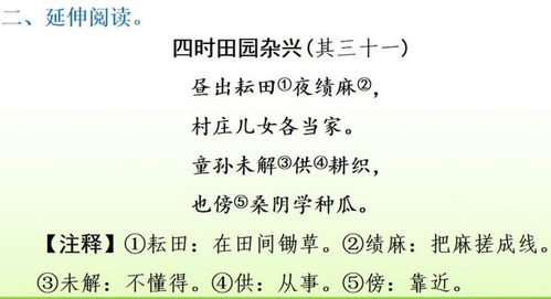 小學(xué)語(yǔ)文四年級基礎知識訓練,小學(xué)語(yǔ)文四年級上冊的古詩(shī)詞,小學(xué)語(yǔ)文四年級上冊基礎知識匯總