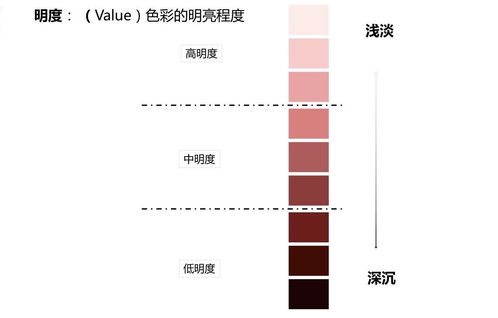 色彩基礎知識及其搭配6