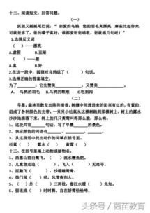 人教版,基礎知識,單元,小學(xué)