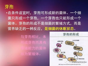 衛生學(xué)及微生物基礎知識培訓