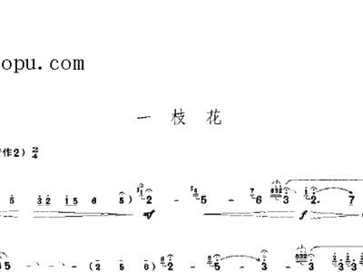 民樂(lè )嗩吶吹奏的基礎知識