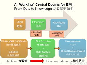 醫療公共衛生基礎知識,醫療基礎知識考試題庫,醫療專(zhuān)業(yè)基礎知識