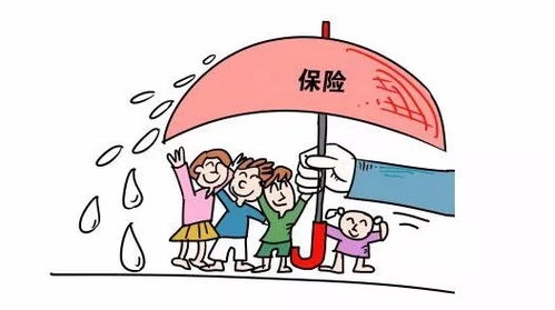 保險基礎知識的總結怎么寫(xiě),保險基礎知識心得體會(huì )總結,保險基礎知識課程總結