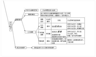 初中生物基礎(chǔ)知識圖