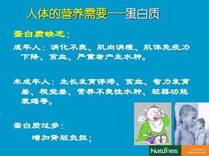 營(yíng)養學(xué)基礎知識課程