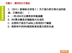 遺傳分子基礎易錯易混知識點(diǎn)