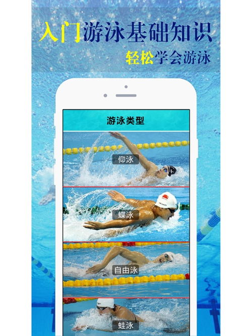 蛙泳的幾個基礎知識
