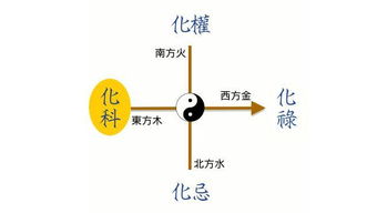 紫微斗數入門(mén)基礎知識