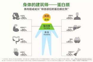 安利基礎知識蛋白質(zhì)上簡(jiǎn)便書(shū)