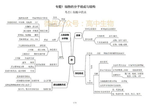 細(xì)胞的物質(zhì)基礎(chǔ)知識框架圖