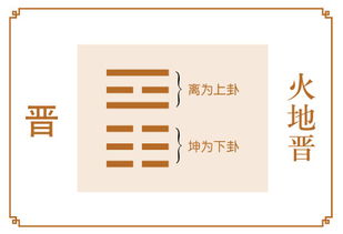64卦基礎知識之天澤履