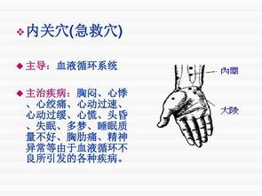 救助,基礎知識,緊急