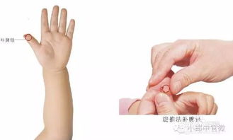 小兒推拿基礎知識理論,小兒推拿基礎知識簡(jiǎn)介,小兒推拿基礎知識ppt
