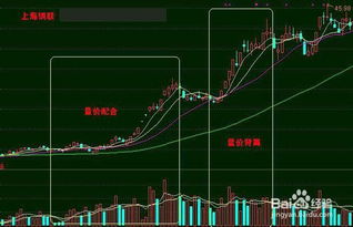 房地產(chǎn)收入及成本基礎知識大全