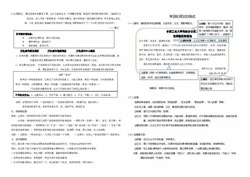 職業(yè)寫(xiě)作基礎知識教案