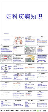 基礎知識,生殖系統,女性,ppt