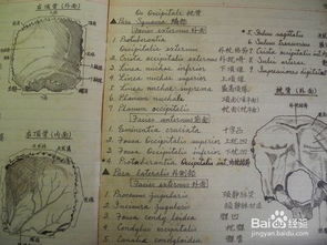 怎樣提高醫(yī)學(xué)基礎(chǔ)知識