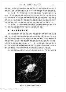 天文學(xué),知識點(diǎn),基礎
