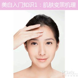 皮膚美白的基礎知識
