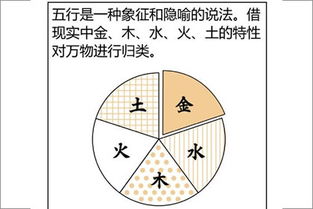 八字入門基礎(chǔ)知識教程