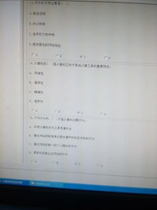 小學(xué)計算機基礎(chǔ)知識考試及答案