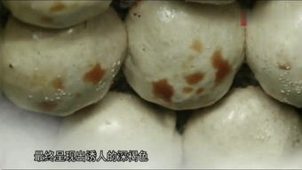 瘋哥談新疆和田玉基礎知識