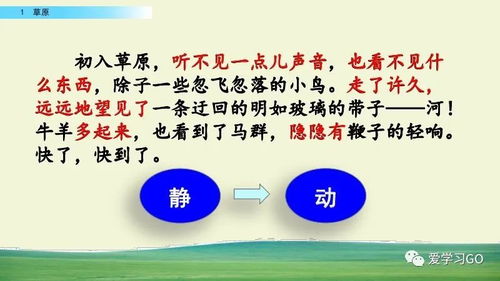 體育與健康基礎知識微課,口風(fēng)琴的基礎知識,樂(lè )譜基礎知識口風(fēng)琴