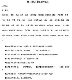 基礎知識,語(yǔ)文,初二下