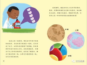 如何打好科學(xué)基礎知識