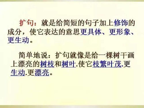 語(yǔ)文基礎及寫(xiě)作基礎知識