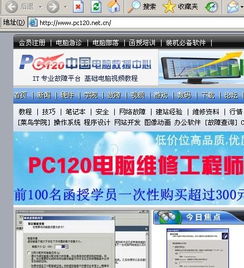 巴迪的基礎知識pc版