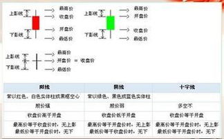 股票交易業(yè)務(wù)基礎知識