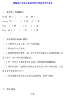 六年級語(yǔ)文基礎知識題,六年級語(yǔ)文基礎知識歸納,六年級下冊語(yǔ)文基礎知識
