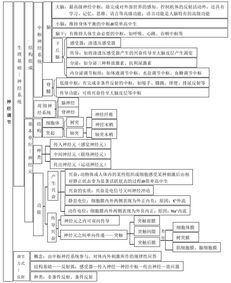 必修,基礎知識,生物
