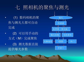 合肥招考基礎知識