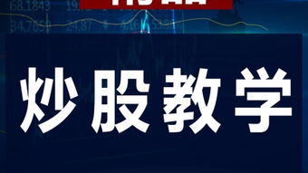 股票入門(mén)基礎知識電子書(shū)免費,股票入門(mén)基礎知識txt免費,股票入門(mén)基礎知識的書(shū)