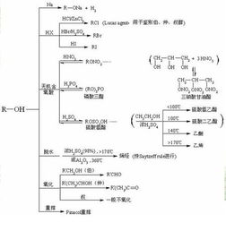 高中有機化學(xué)基礎知識,有機化學(xué)實(shí)驗基礎知識,有機化學(xué)基礎知識整理