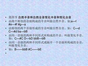 小學(xué)階段的樂(lè )理基礎知識教案